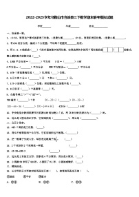 2022-2023学年马鞍山市当涂县三下数学期末联考模拟试题含解析