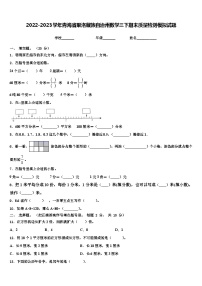 2022-2023学年青海省果洛藏族自治州数学三下期末质量检测模拟试题含解析