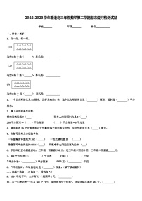 2022-2023学年香港岛三年级数学第二学期期末复习检测试题含解析