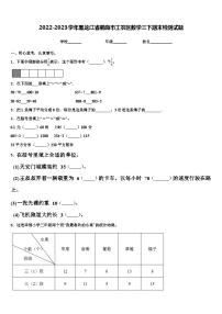 2022-2023学年黑龙江省鹤岗市工农区数学三下期末检测试题含解析