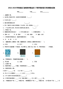 2022-2023学年黑龙江省鸡西市恒山区三下数学期末复习检测模拟试题含解析