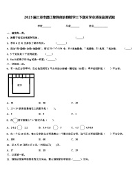 2023届三亚市昌江黎族自治县数学三下期末学业质量监测试题含解析