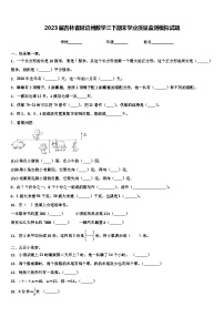 2023届吉林省延边州数学三下期末学业质量监测模拟试题含解析