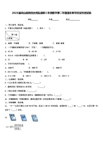 2023届凉山彝族自治州盐源县三年级数学第二学期期末教学质量检测试题含解析