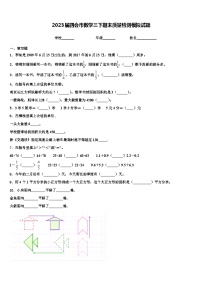 2023届四会市数学三下期末质量检测模拟试题含解析