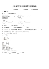 2023届大连市普兰店市三下数学期末监测试题含解析