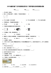 2023届四川省广元市苍溪县东溪片区三下数学期末达标检测模拟试题含解析