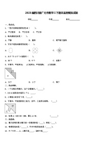 2023届四川省广元市数学三下期末监测模拟试题含解析