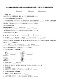 2023届安徽省阜阳市界首市新马集中心学校数学三下期末教学质量检测试题含解析