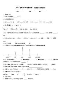 2023届威县三年级数学第二学期期末经典试题含解析