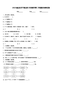 2023届山东济宁微山县三年级数学第二学期期末调研试题含解析