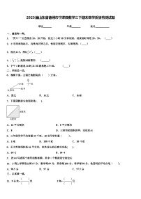 2023届山东省德州市宁津县数学三下期末教学质量检测试题含解析