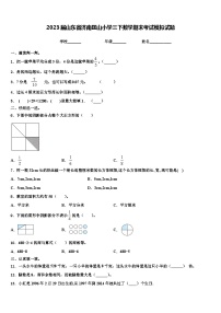 2023届山东省济南匡山小学三下数学期末考试模拟试题含解析