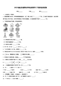 2023届山东省青岛市崂山区数学三下期末监测试题含解析