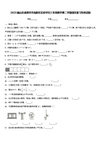 2023届山东省潍坊市高新区实验学校三年级数学第二学期期末复习检测试题含解析