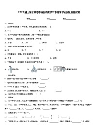 2023届山东省淄博市桓台县数学三下期末学业质量监测试题含解析