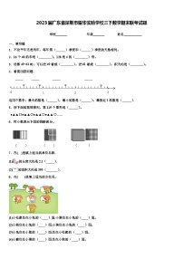 2023届广东省深圳市耀华实验学校三下数学期末联考试题含解析