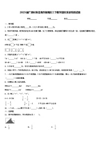 2023届广西壮族北海市银海区三下数学期末质量检测试题含解析