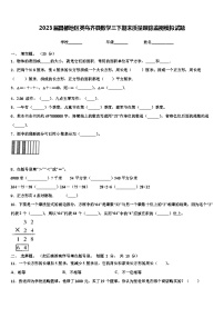 2023届昌都地区类乌齐县数学三下期末质量跟踪监视模拟试题含解析