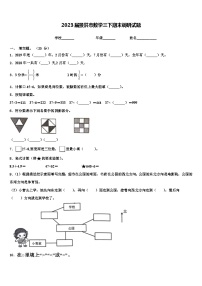 2023届景洪市数学三下期末调研试题含解析