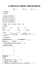 2023届攀枝花市东区三年级数学第二学期期末质量检测模拟试题含解析