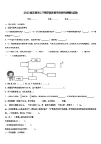 2023届文登市三下数学期末教学质量检测模拟试题含解析