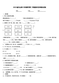 2023届文山县三年级数学第二学期期末统考模拟试题含解析