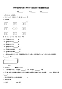 2023届新疆乌鲁木齐市头屯河区数学三下期末预测试题含解析