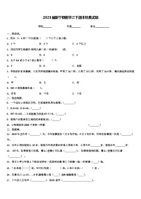 2023届新宁县数学三下期末经典试题含解析