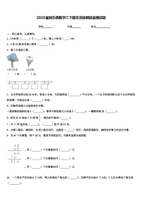 2023届民乐县数学三下期末质量跟踪监视试题含解析