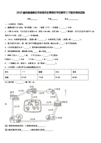 2023届河南省商丘市项城市正泰博文学校数学三下期末预测试题含解析