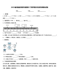 2023届河南省洛阳市宜阳县三下数学期末质量检测模拟试题含解析