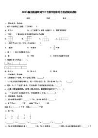 2023届河南省项城市三下数学期末综合测试模拟试题含解析