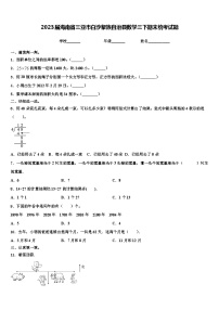 2023届海南省三亚市白沙黎族自治县数学三下期末统考试题含解析