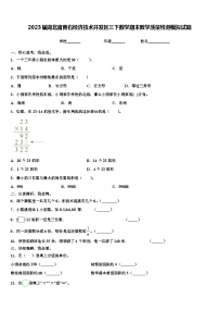 2023届湖北省黄石经济技术开发区三下数学期末教学质量检测模拟试题含解析