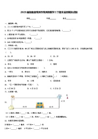 2023届湖南省株洲市株洲县数学三下期末监测模拟试题含解析