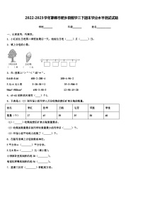 2022-2023学年邯郸市肥乡县数学三下期末学业水平测试试题含解析