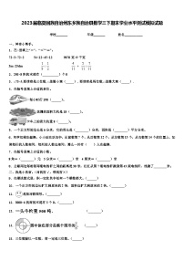 2023届临夏回族自治州东乡族自治县数学三下期末学业水平测试模拟试题含解析