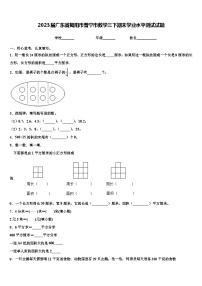 2023届广东省揭阳市普宁市数学三下期末学业水平测试试题含解析