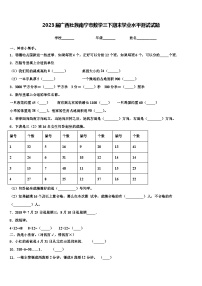 2023届广西壮族南宁市数学三下期末学业水平测试试题含解析