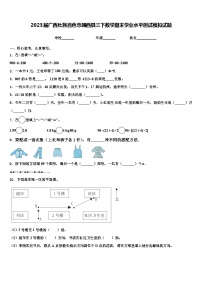 2023届广西壮族百色市靖西县三下数学期末学业水平测试模拟试题含解析