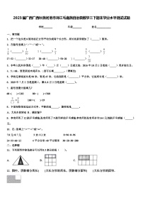 2023届广西广西壮族河池市环江毛南族自治县数学三下期末学业水平测试试题含解析