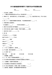 2023届河南省郑州市数学三下期末学业水平测试模拟试题含解析