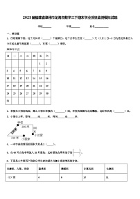 2023届福建省漳州市龙海市数学三下期末学业质量监测模拟试题含解析