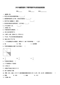 2023届若羌县三下数学期末学业质量监测试题含解析