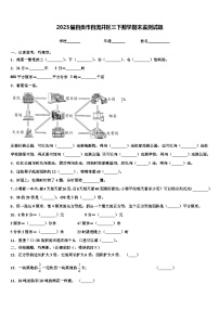 2023届自贡市自流井区三下数学期末监测试题含解析