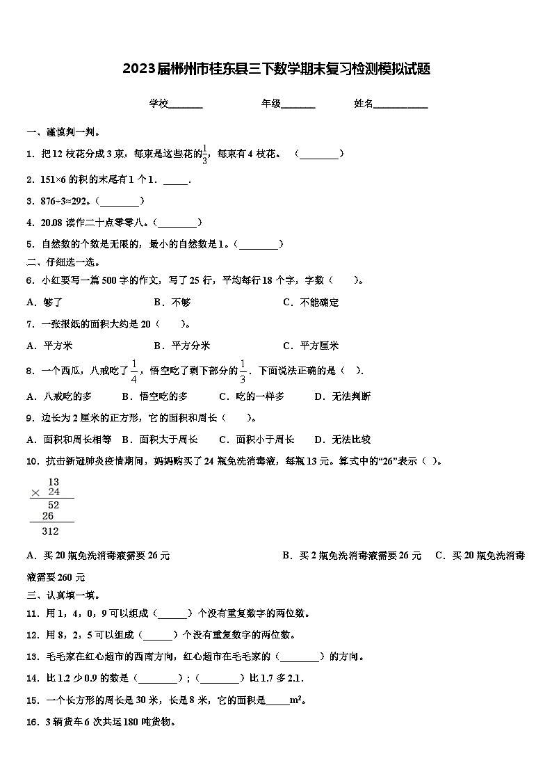 2023届郴州市桂东县三下数学期末复习检测模拟试题含解析第1页