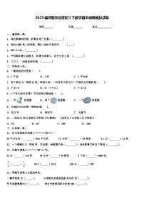 2023届邵阳市北塔区三下数学期末调研模拟试题含解析