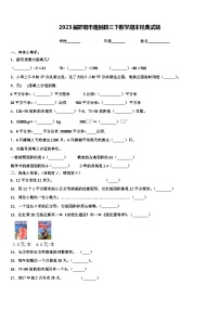 2023届邵阳市隆回县三下数学期末经典试题含解析