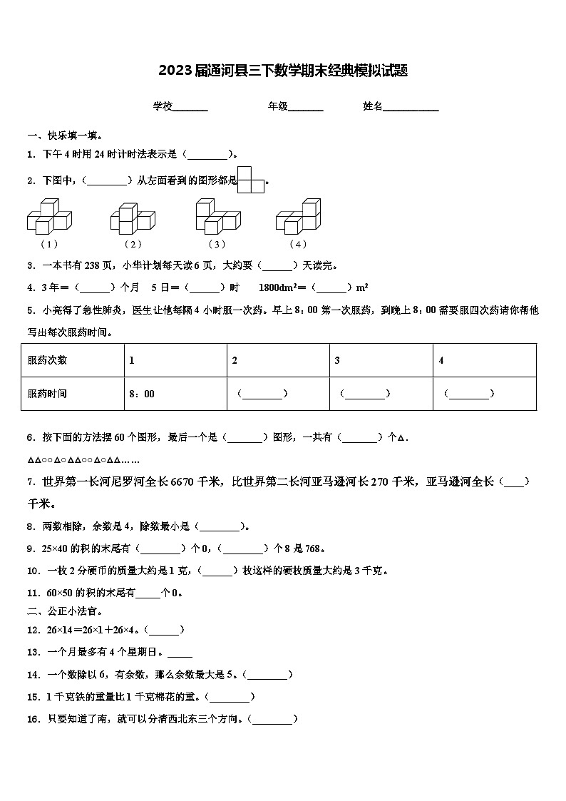 2023届通河县三下数学期末经典模拟试题含解析01